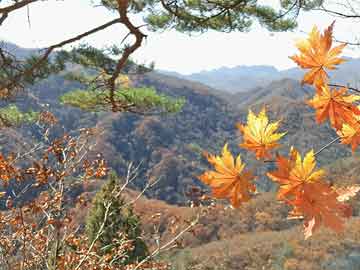 郑州二毛川菜馆,郑州二毛川菜馆地址